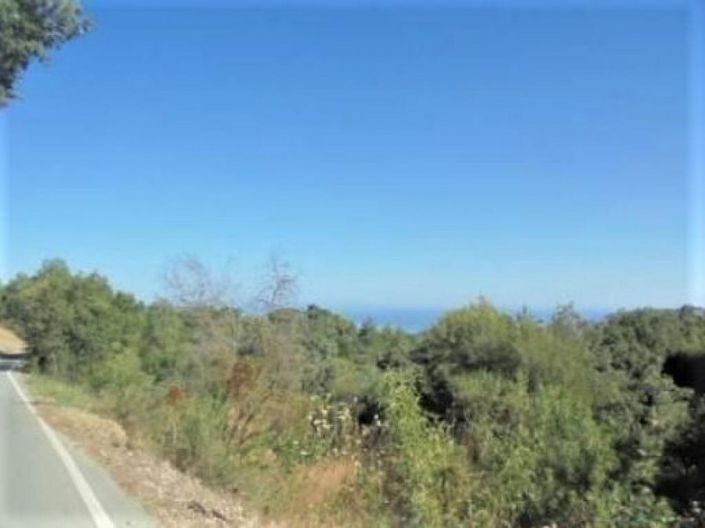 Image No.1-Land for sale