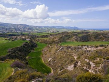Field - Steni, Paphos
