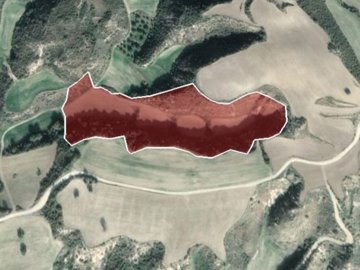 Field - Steni, Paphos