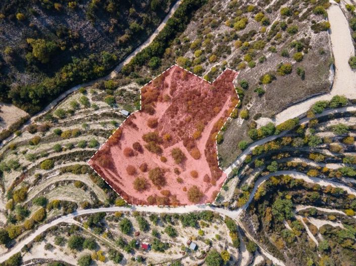 Image No.2-Terre à vendre à Paphos