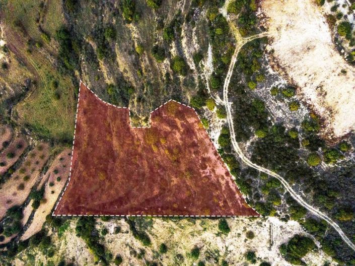 Image No.3-Terre à vendre à Paphos