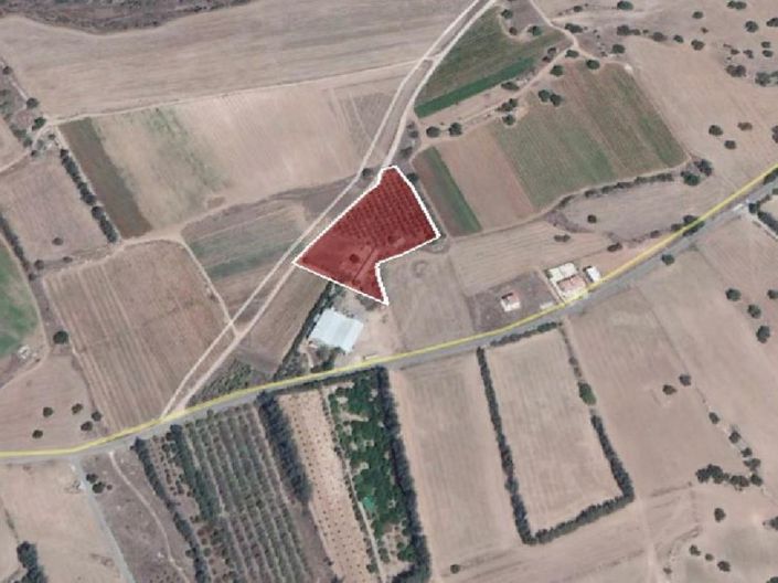 Image No.3-Terre à vendre à Paphos