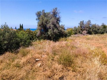 Field - Nea Dimmata, Paphos