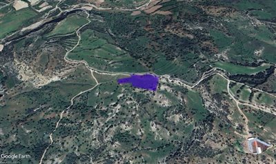 Agricultural Land For Sale  in  Episkopi