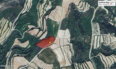 Agricultural Land For Sale  in  Tsada