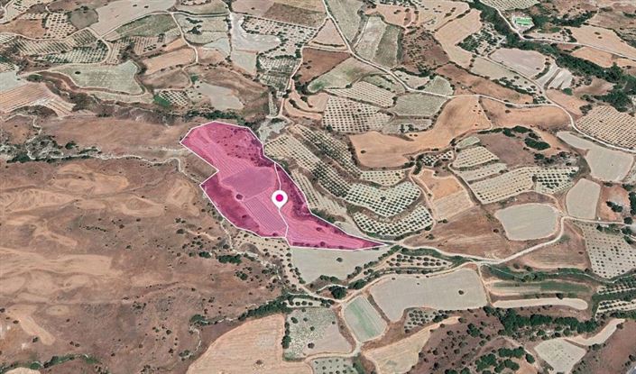 Image No.2-Terre à vendre à Paphos