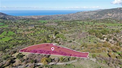 Agricultural Field, Lysos, Paphos