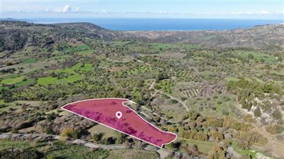 Agricultural Field, Lysos, Paphos