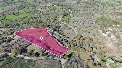 Agricultural Field, Lysos, Paphos