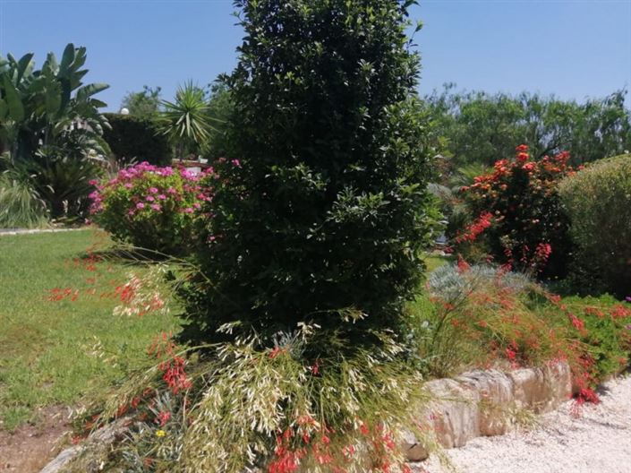 Image No.2-Bungalow de 4 chambres à vendre à Anarita