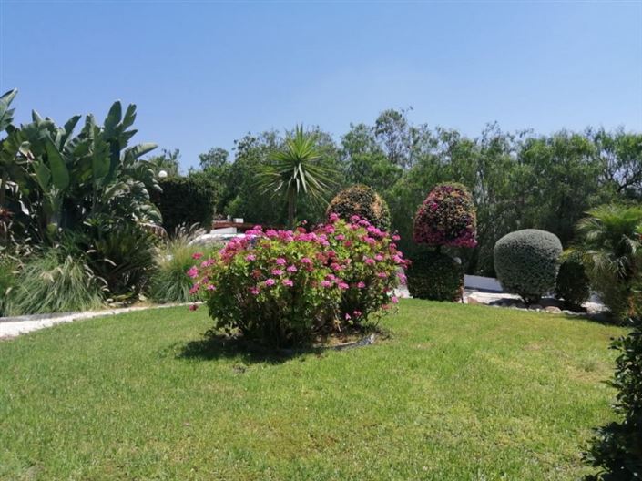 Image No.3-Bungalow de 4 chambres à vendre à Anarita