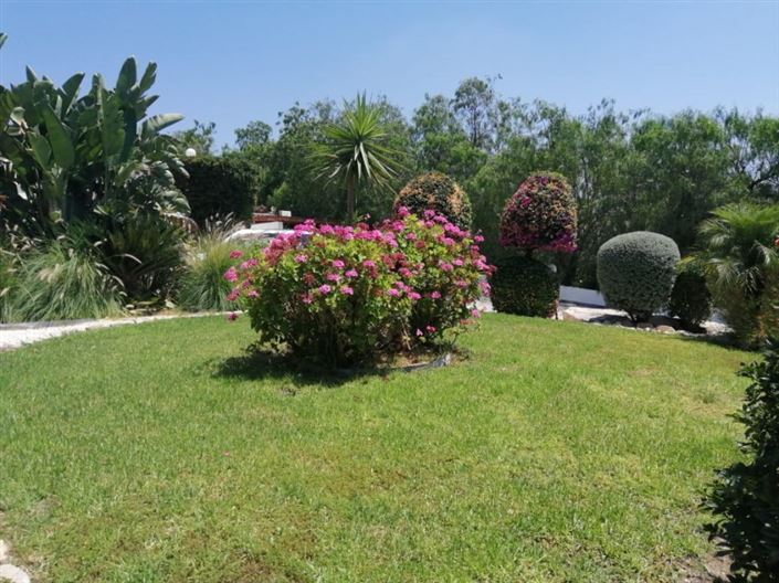 Image No.6-Bungalow de 4 chambres à vendre à Anarita