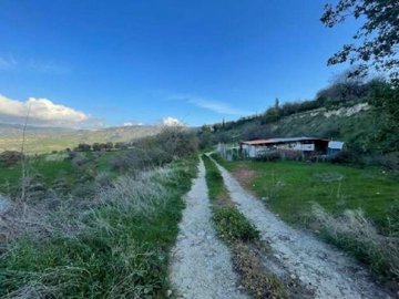 Field - Simou, Paphos