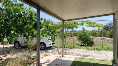 Agricultural Land For Sale  in  Neo Chorio