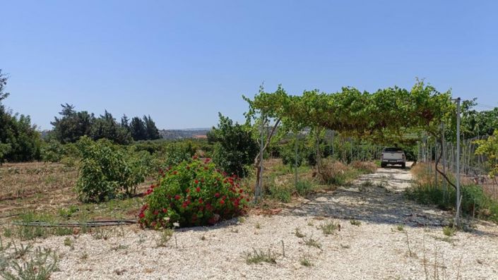 Image No.5-Land for sale