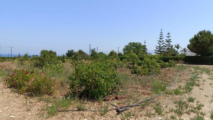 Image No.7-Land for sale