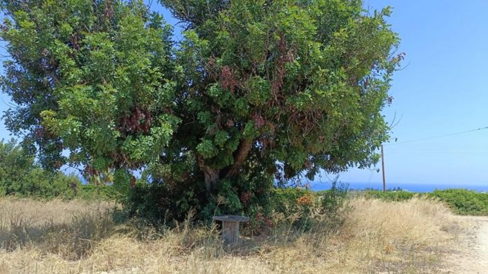 Image No.8-Land for sale