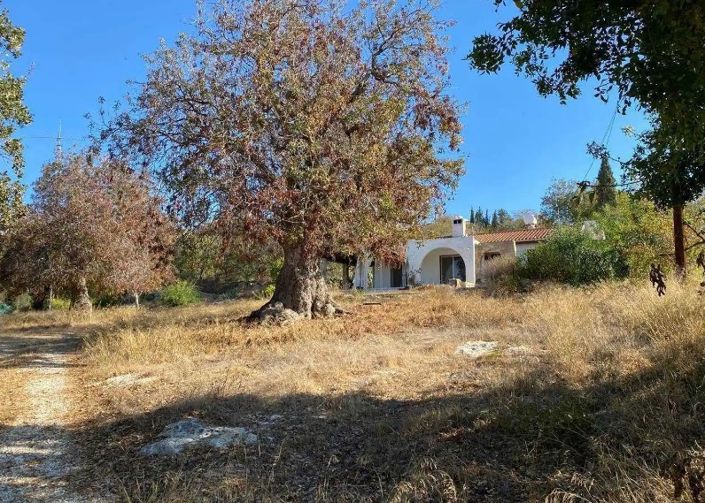 Image No.1-Land for sale