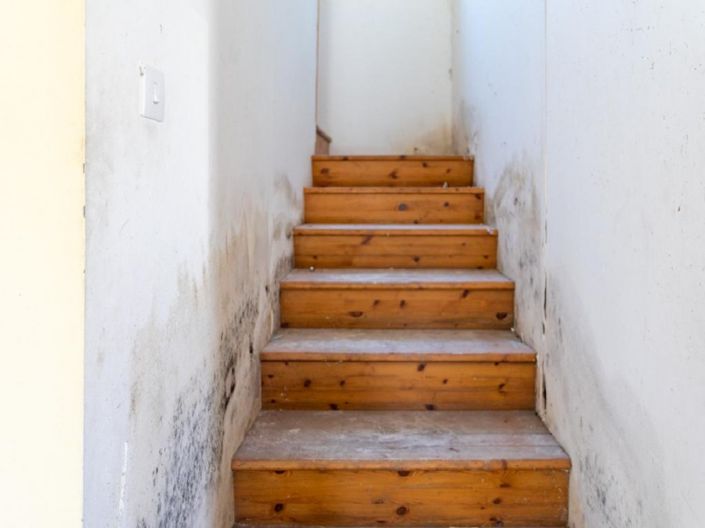 Image No.9-Maison de 3 chambres à vendre à Nata