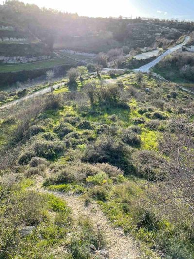 Image No.3-Terre à vendre à Tsada