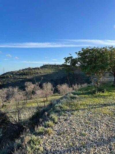 Image No.5-Terre à vendre à Tsada