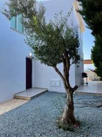 Detached Villa For Sale  in  Mandria