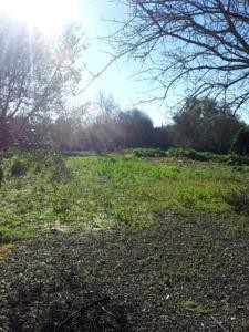 Image No.8-Commercial à vendre à Paphos