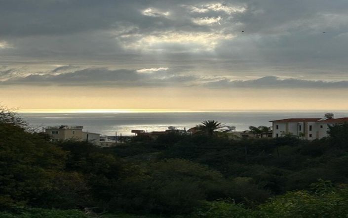 Image No.2-Terre à vendre à Paphos