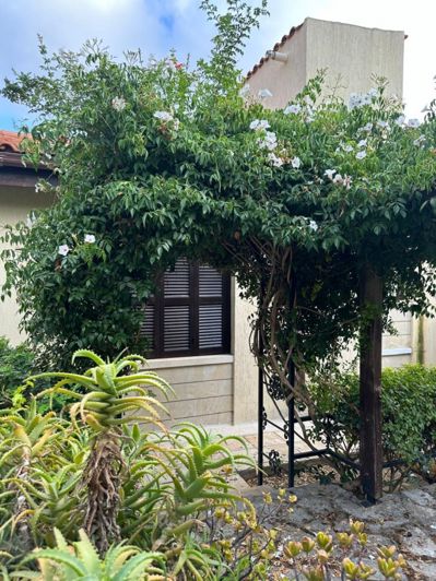 Image No.2-Bungalow de 3 chambres à vendre à Tala