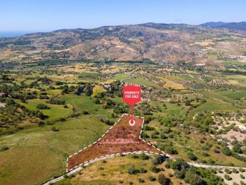 Field - Simou, Paphos