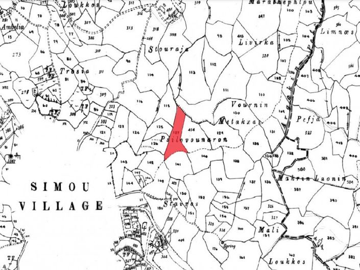 Image No.9-Terre à vendre à Simou