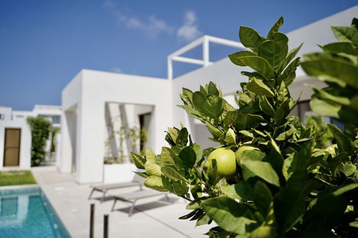 Image No.5-3 Bed Villa for sale