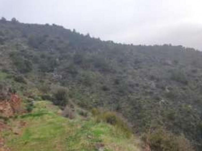 Image No.2-Land for sale