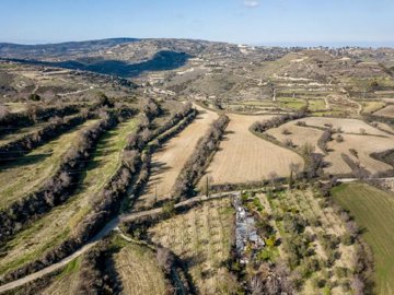 Field - Kallepia, Paphos