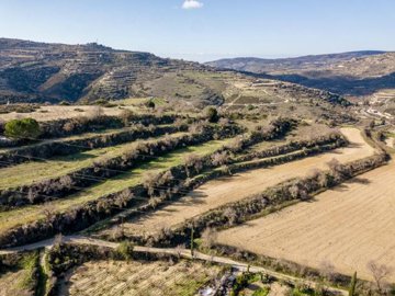 Field - Kallepia, Paphos