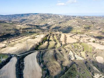 Field - Kallepia, Paphos