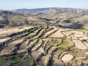 Field - Kallepia, Paphos