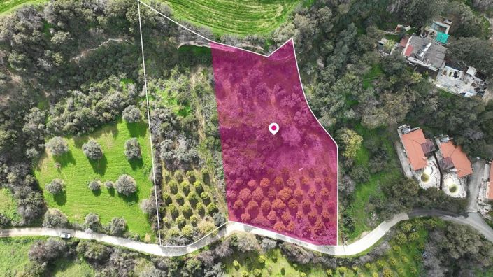 Image No.3-Terre à vendre à Skoulli