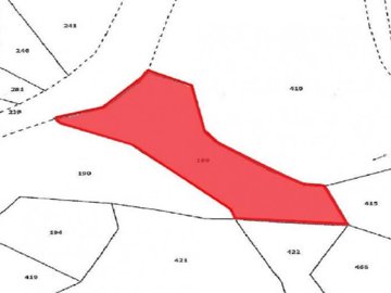 Field - Pomos, Paphos