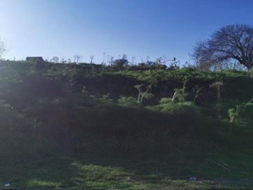 Field - Armou, Paphos