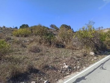 Field - Kritou Tera, Paphos