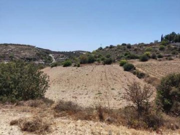 Field - Armou, Paphos