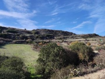 Field - Theletra, Paphos