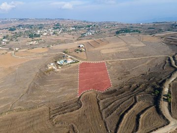 Field - Pano Arodes, Paphos
