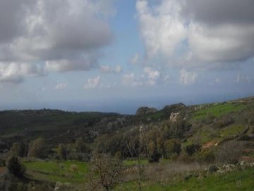 Field - Ineia, Paphos
