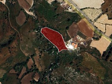 Field - Ineia, Paphos