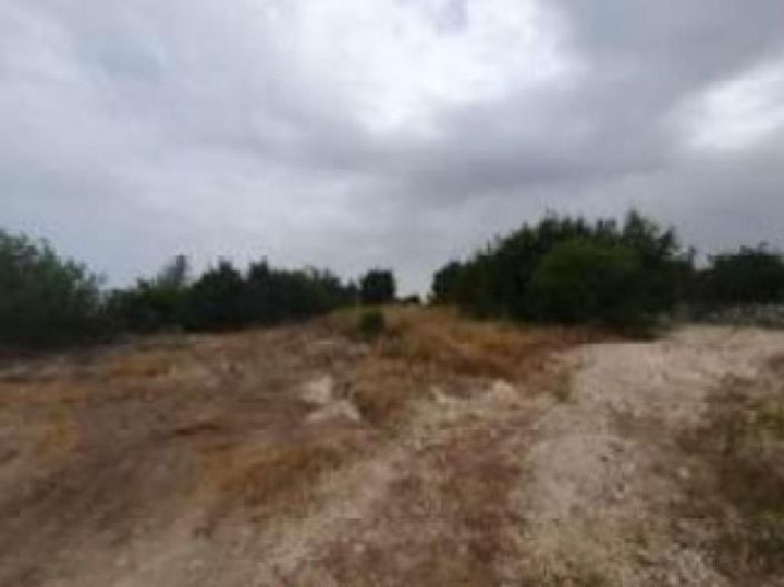 Image No.1-Land for sale