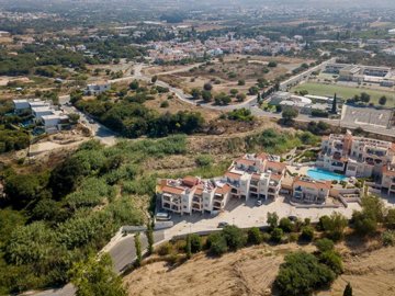 Field - Lemba, Papahos