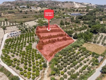 Field - Stroumpi, Paphos