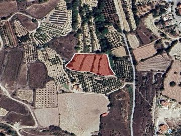 Field - Stroumpi, Paphos